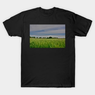 Spring Landscape Near Cividale del Friuli T-Shirt